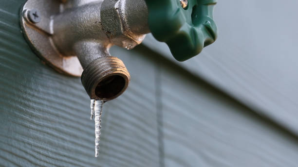 Best Sewer Line Repair  in Charlotte, MI